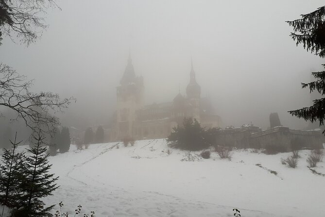 Castles Day Tour Peles - Bran - Rasnov from Brasov - Rasnov Fortress: Panoramic Views and Natural Beauty