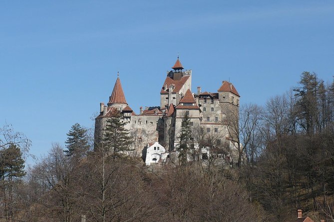 Castles Day Tour Peles - Bran - Rasnov from Brasov - Value for Money and Booking Insights
