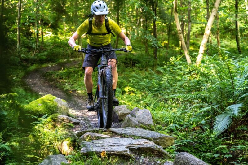 Castlewellan:Electric Mountain Biking Experience - What’s Included: Ready-to-Go E-Bike Packages for All