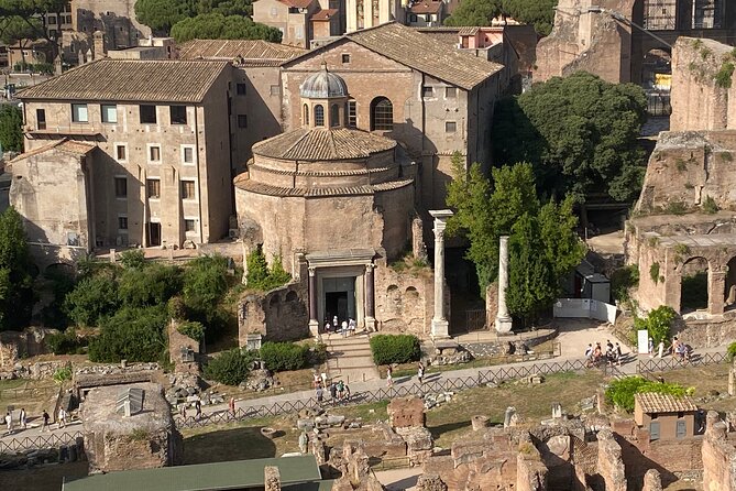 Catacombs, Colosseum, Roman Forum and Palatine Hill Private Tour - Expert Guides and Personalized Narration