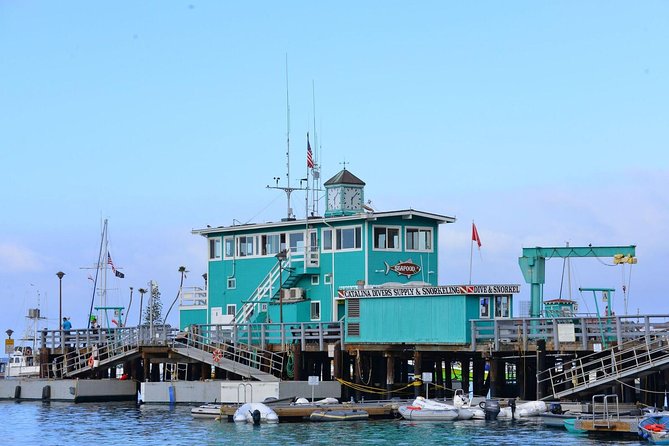Catalina Express: San Pedro to Avalon One-Way Ferry - Exploring Avalon at Your Leisure