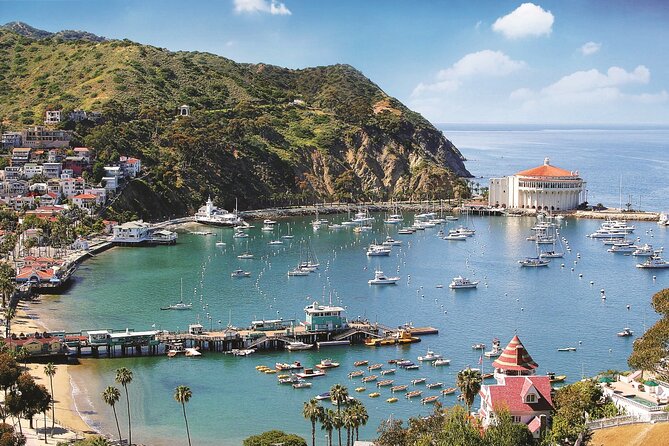 Catalina Express: San Pedro to Avalon One-Way Ferry - Who Should Consider This Tour