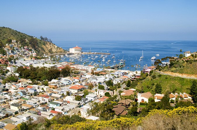 Catalina Island Avalon Highlights Walking Tour - Breakfast at Pancake Cottage: A Delicious Start