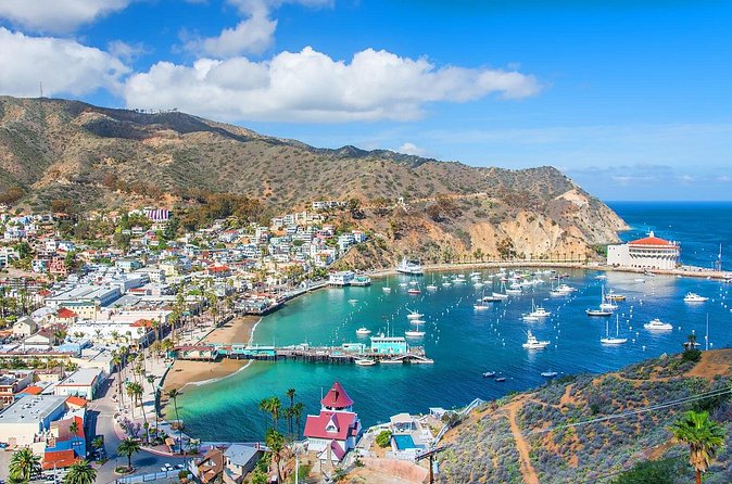 Catalina Island Avalon Highlights Walking Tour - Savoring Steaks at Avalon Grille