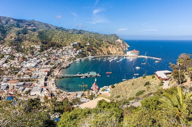 Catalina Island City and Scenic Mount Ada Tour - The Knowledgeable Nature of the Guides