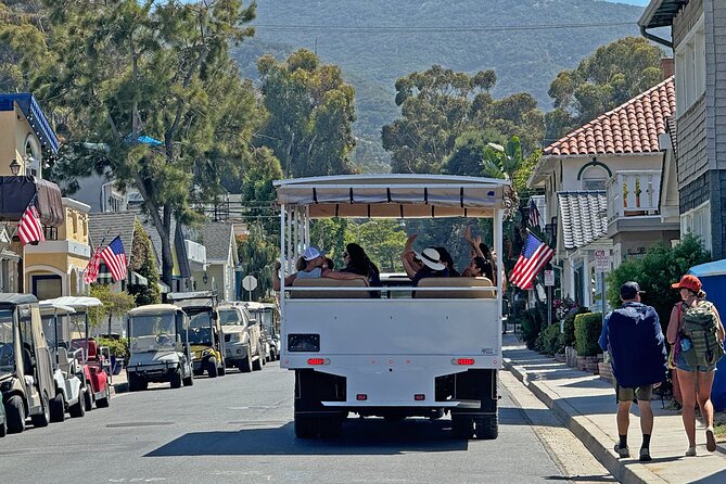 Catalina Island City and Scenic Mount Ada Tour - Who Would Most Benefit from This Tour