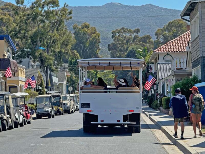 Catalina Island City & Scenic Mt. Ada Tour - Convenient Departure Point at the Ferry Plaza