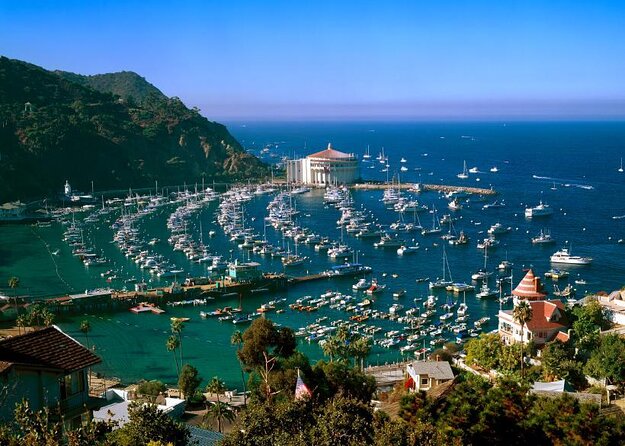 Catalina Island Day Trip from LAX area hotels with Undersea Adventure - Discover Catalina Island on a Self-Guided Day Trip from Los Angeles