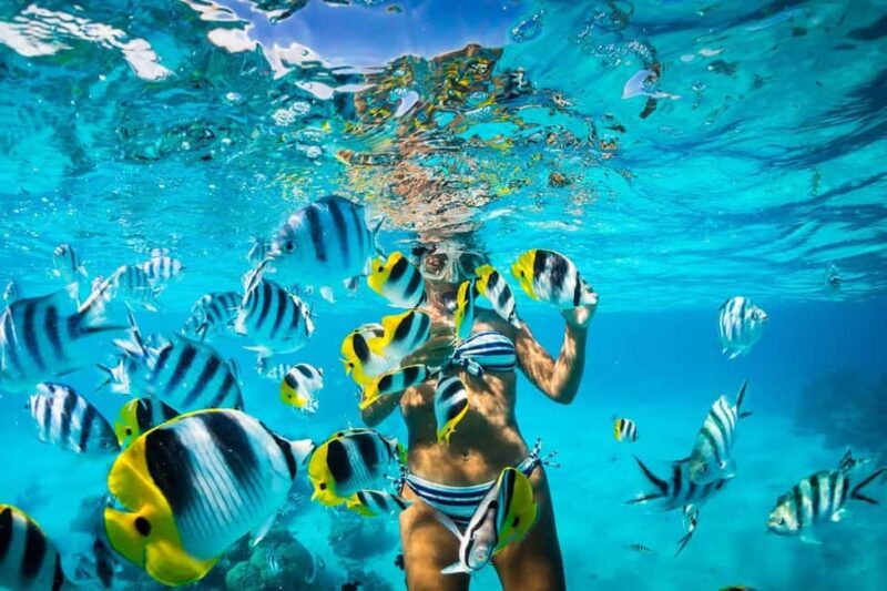 Catalina Island Full-Day Snorkeling + Lunch from Punta Cana - Pickup and Transportation from Punta Cana and La Romana