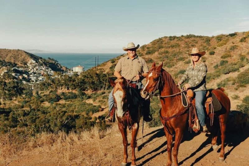 Catalina Island: Horse Trail Overlook Ride - Explore Catalina Island on a Scenic Horseback Ride