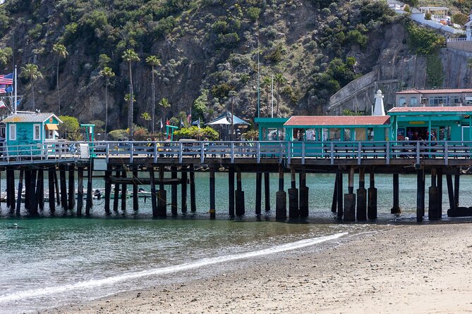 Catalina Island Private 2-Hour Tour of Avalon - Timing, Pacing, and Best Season to Visit