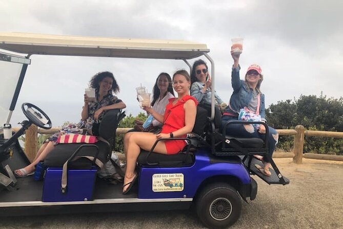 Catalina Island Private Guided Golf Cart Tour of Avalon - Key Points