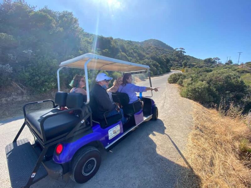 Catalina Island: Private Guided Golf Cart Tour of Avalon - Starting Point: Pickup and Vehicle Details