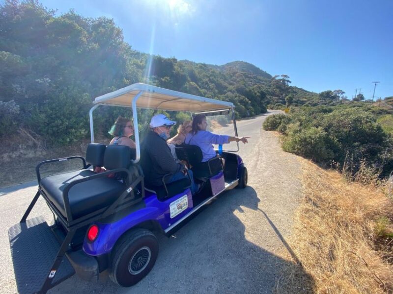 Catalina Island: Private Guided Golf Cart Tour of Avalon - The Quality and Popularity of the Guides