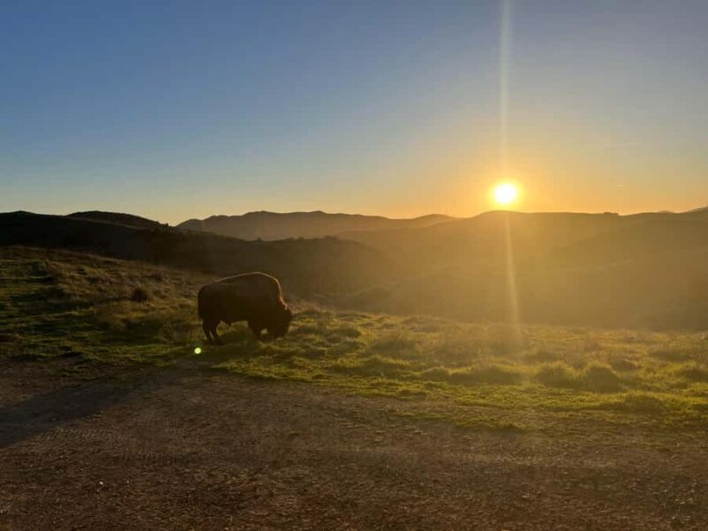 Catalina Island: Sunset Summit Tour - Starting Point at the Mole Terminal in Avalon