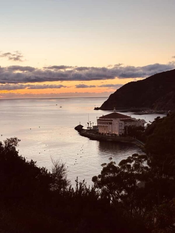 Catalina Island: Sunset Summit Tour - Limitations and Considerations