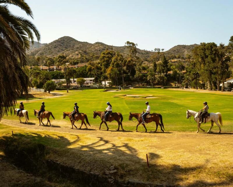 Catalina Island: Trail and Canyon Horseback Ride - Key Points