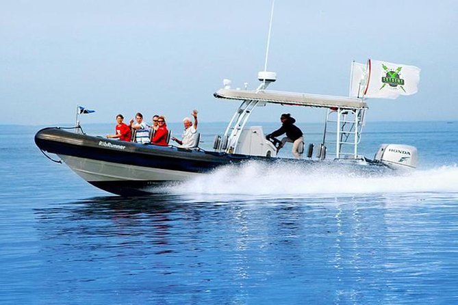 Catalina Island Trip with Hotel transfers & Optional tours - Key Points