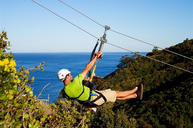 Catalina Island Trip with Zipline Eco Tour and Hotel Transfers - Frequently Asked Questions