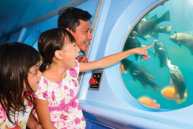 Catalina Island: Yellow Semi-Submarine Cruise - Explore Catalina Island’s Underwater Sanctuary in a Custom-Built Semi-Submarine