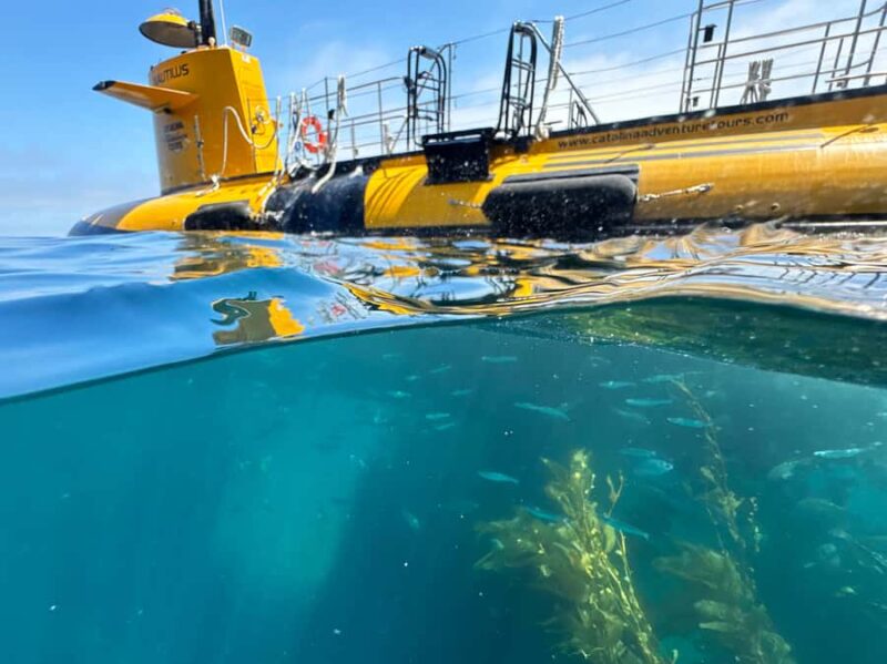 Catalina Island: Yellow Semi-Submarine Cruise - What to Expect During the Undersea Journey