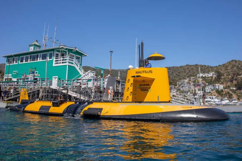Catalina Island: Yellow Semi-Submarine Cruise - The Route Through Lover’s Cove and Kelp Forests