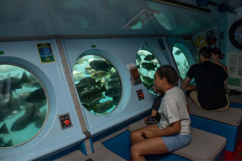 Catalina Island: Yellow Semi-Submarine Cruise - Guides and Crew: Friendly, Informative, and Entertaining