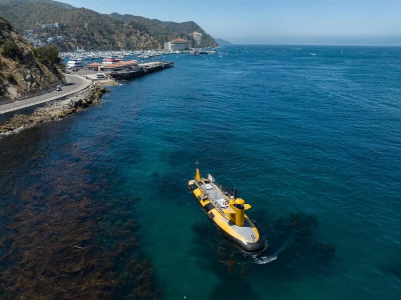 Catalina Island: Yellow Semi-Submarine Cruise - Price Considerations and Customer Feedback on Value