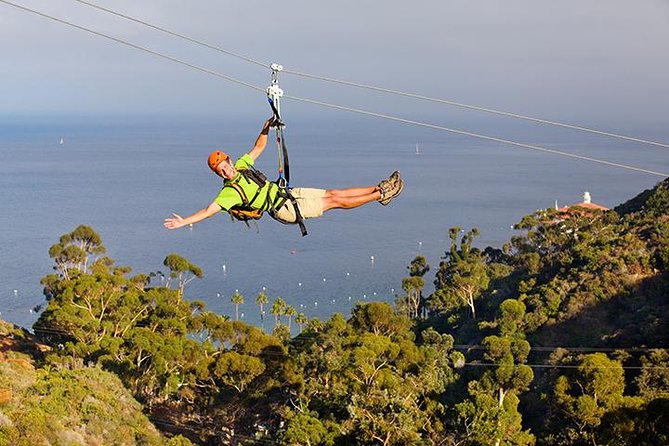 Catalina Island Zip Line Eco Tour - Key Points