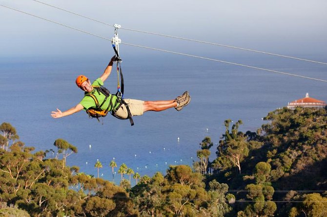 Catalina Island Zip Line Eco Tour - The Five Zip Lines Over Catalina’s Canyon Floors