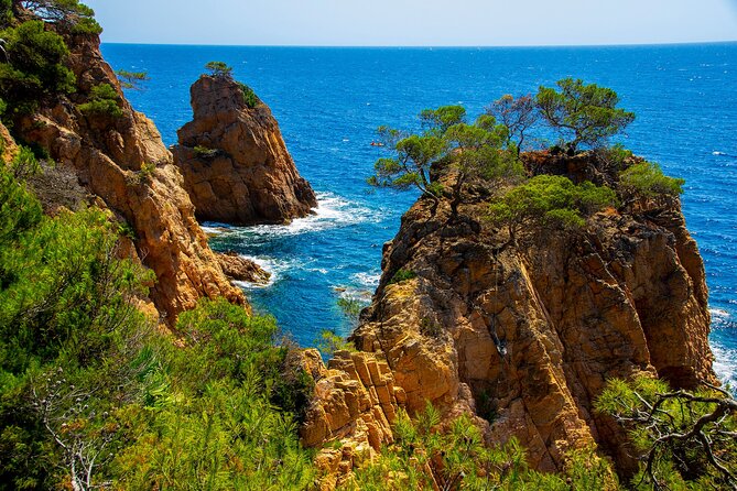 Catalonia Private Tour with Medieval Towns and Montserrat with Transport - Experiencing Vic’s Medieval and Modern Charm