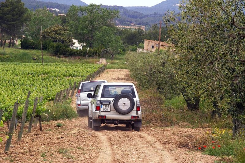 Catalonia: Unique, bespoke wine cellar visits - Key Points