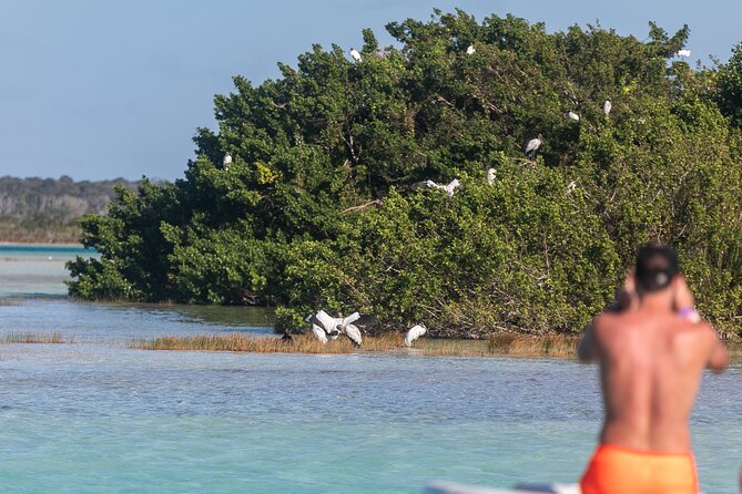 Catamaran Adventure: Sailing and Swimming in the Bacalar Lagoon - Who Should Book This Tour?
