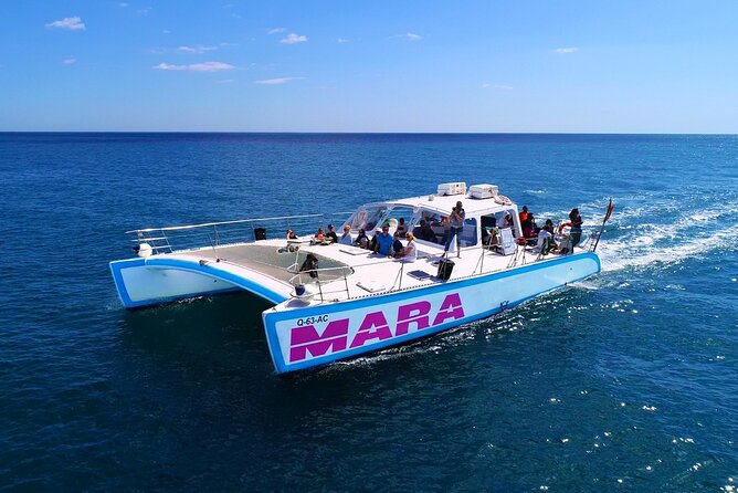 Catamaran BBQ on the Beach: Cruise to Benagil Caves - The BBQ Experience on the Secluded Beach