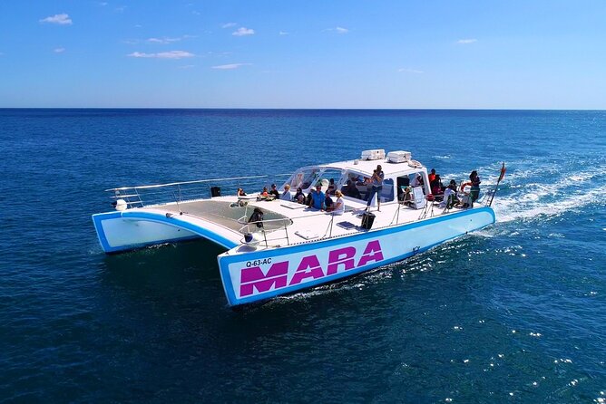 Catamaran Cruise: Caves and Coastline to Benagil - Pacing, Weather, and What to Bring