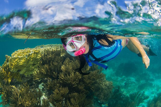 Catamaran Cruise from Costa Mujeres with Snorkeling and Lunch - Explore the Caribbean on a 4-Hour Catamaran Cruise from Costa Mujeres