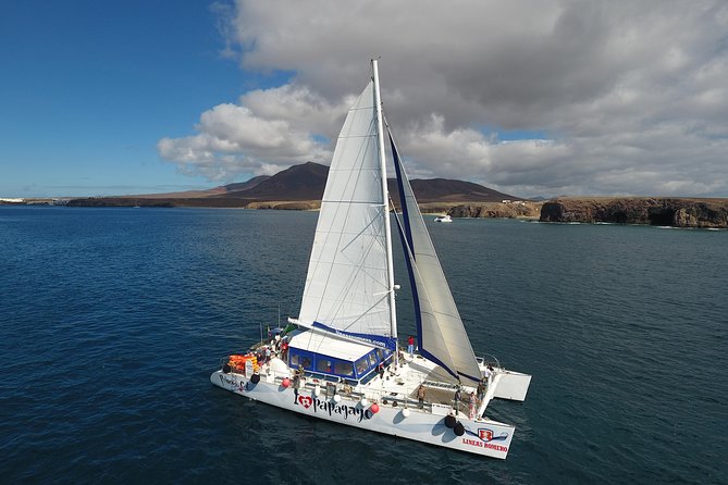 Catamaran Cruise to Papagayo beaches, lunch and water activities - What Sets This Tour Apart from Similar Options