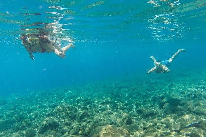 Catamaran Day Cruise to Desertas Islands from Funchal - Onboard Activities and Water Sports
