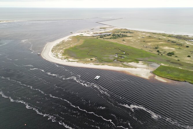 Catamaran Dolphin Cruise in Myrtle Beach with Barrier Island Stop - The Crew: Friendly Guides and Knowledgeable Narration