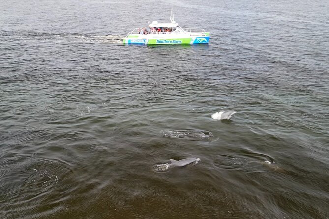 Catamaran Dolphin Cruise in Myrtle Beach with Barrier Island Stop - Practical Details: Meeting Point and Group Size