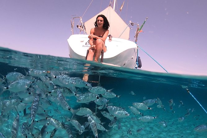 Catamaran excursions in the Asinara island National park - Snorkeling and Swimming in Sardinias Pristine Bays