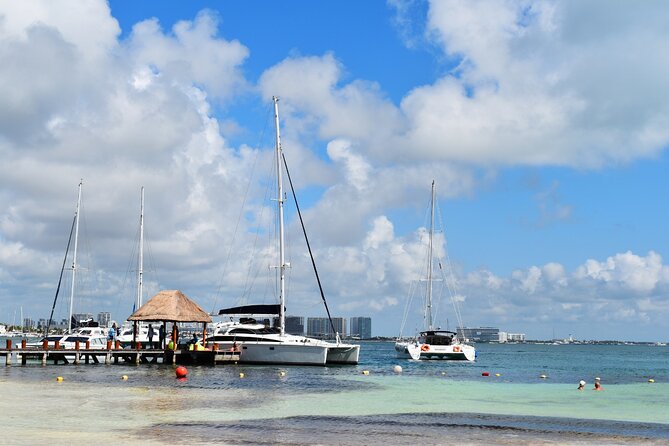 Catamaran Experience to Isla Mujeres with Snorkel - Snorkeling at El Meco Reef: Marine Life and Equipment