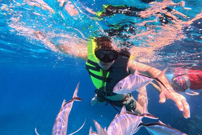 Catamaran in Cozumel with snorkeling at El Cielo and open Bar - Sailing on a Double-Deck Catamaran in Cozumel