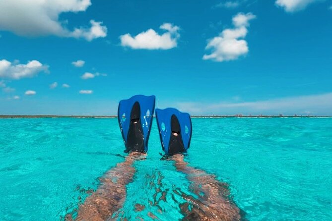 Catamaran in Cozumel with snorkeling at El Cielo and open Bar - Tasty Onboard Meal: Grilled Chicken and Fresh Fruit