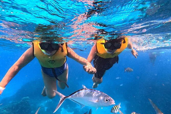 Catamaran in Cozumel with snorkeling at El Cielo and open Bar - Meeting Point and Logistics for a Smooth Experience