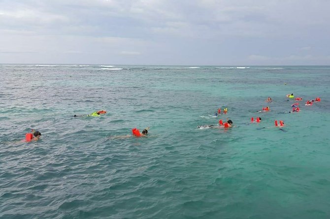Catamaran Isla mujeres Unlimited with Transfer from Playa del Carmen - Buffet Lunch at a Private Beach Club