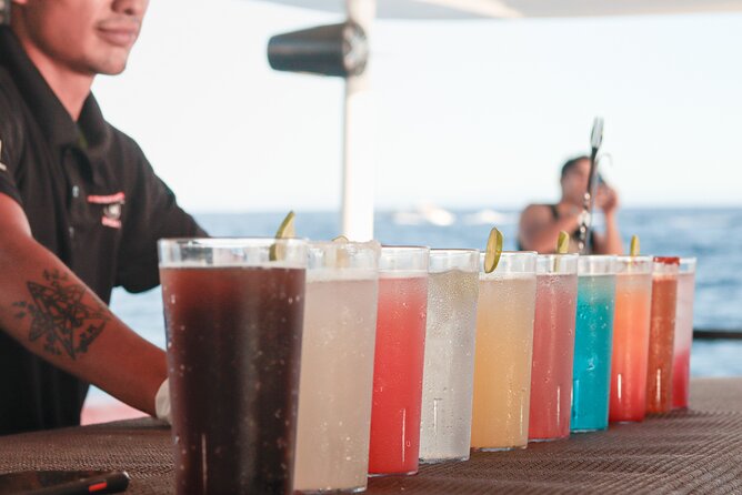 Catamaran - Luxury Private Tour - Onboard Dining and Beverage Offerings