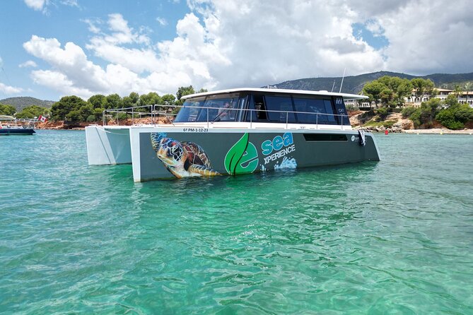 Catamaran Mallorca Eco Experience - Why Choose the Mallorca Eco Catamaran for Your Day at Sea