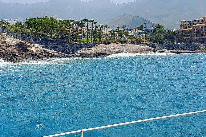 CATAMARAN OCEAN CRUISE TOUR, Food & Drinks included! - Key Points