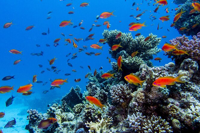 Catamaran On Islas Marietas - With Open Bar - Relaxing on Deck with Music and Refreshments